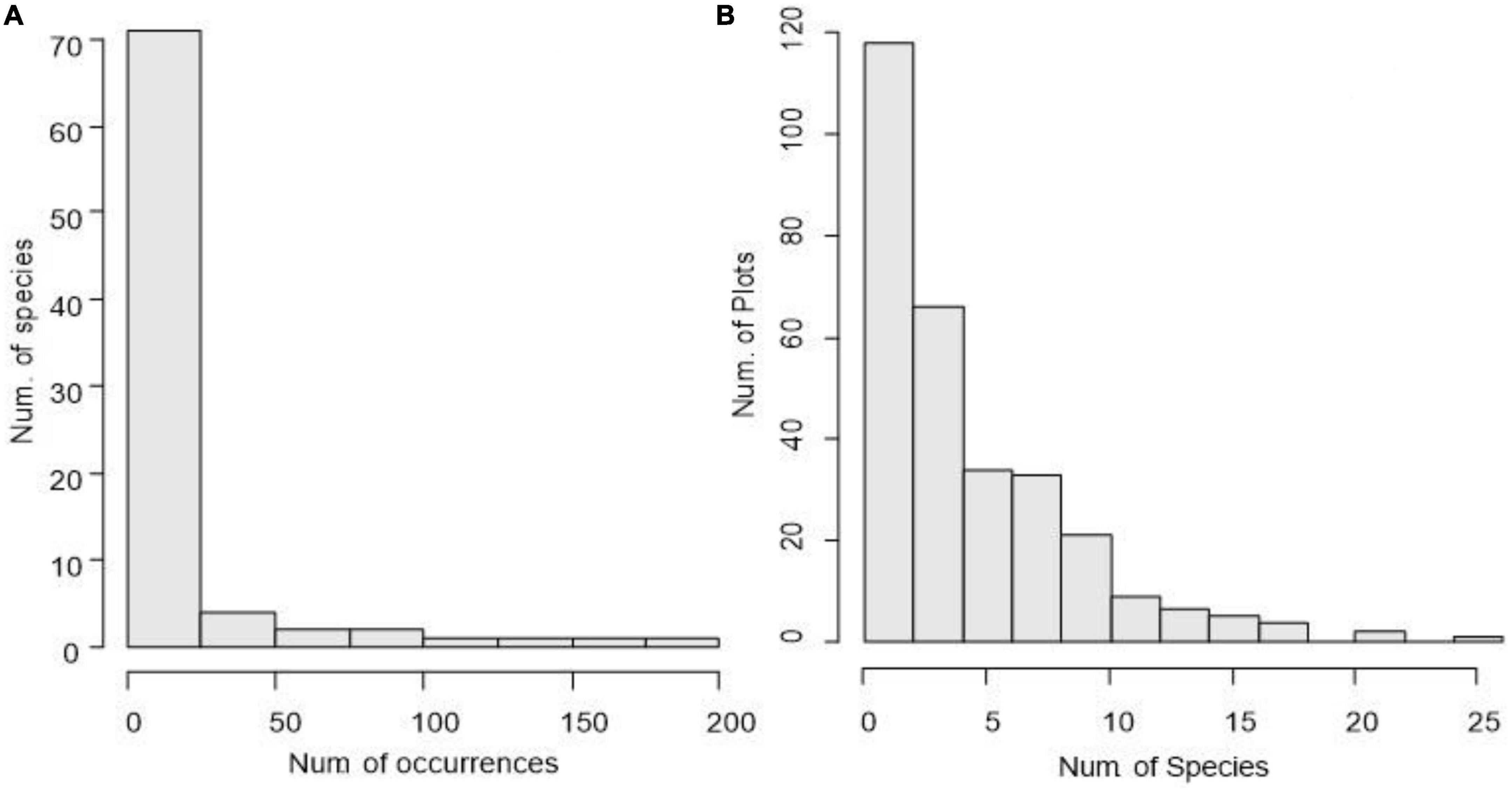 Species diversity pattern and its drivers of the understory herbaceous plants in a Chinese subtropical forest